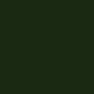 Canopy Manhattan Premium 500 without valance moss green