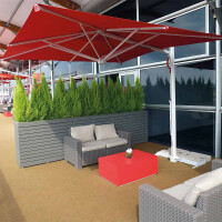 Scolaro Astro Ampelschirm