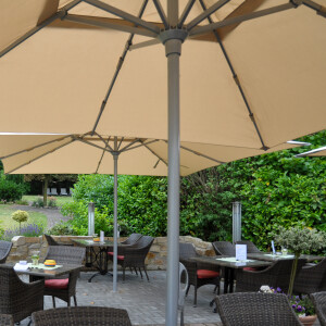 Z60 silver 300x400 rectangular Beige 517