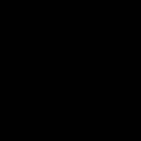 Schwarz (RAL 9005)