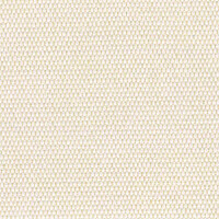25088 Beige