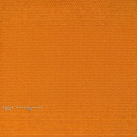 bitter orange (SOLD)